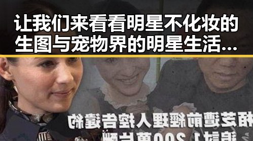 让我们来看看明星不化妆的生图与宠物界的明星生活的反差魅力